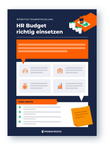 Infografik Preview HR Budget richtig einsetzen