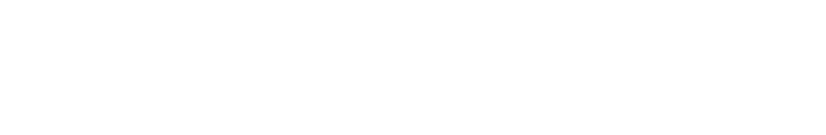 Novartis Logo weiss