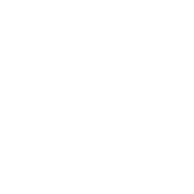 VW Logo weiss